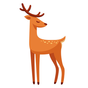 Cartoon Deer Drawing