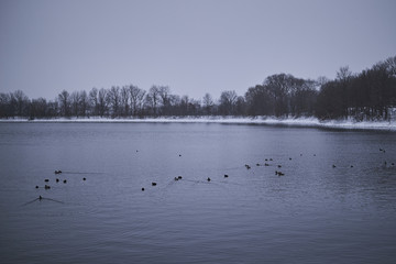 Lake in winter