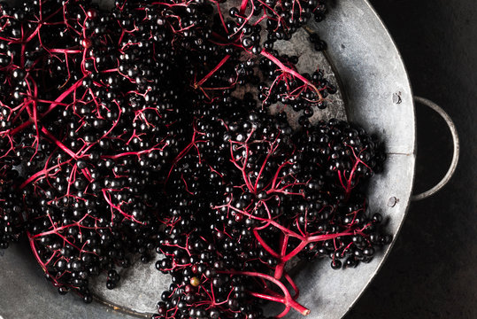 fresh elderberries on black background