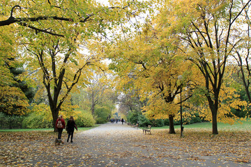 Осень в Приморском парке г. Варна (Болгария) 