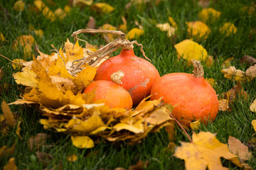 orange pumpkins and yellow boots in the garden