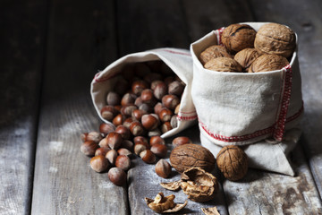 fındık ve ceviz meyveleri