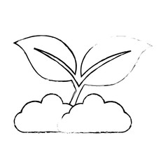 leafs plant isolated icon vector illustration design