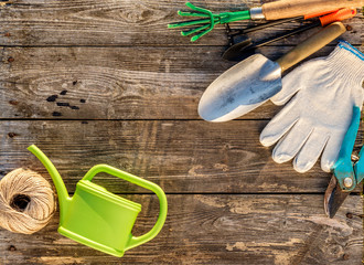 Gardening tools and watering can on wooden background