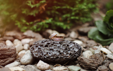 Wedding rings on a stand