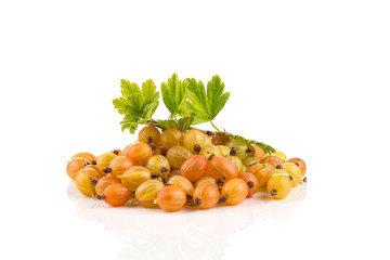 gooseberry isolated on white