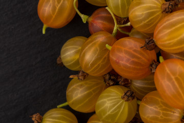 gooseberry on stone