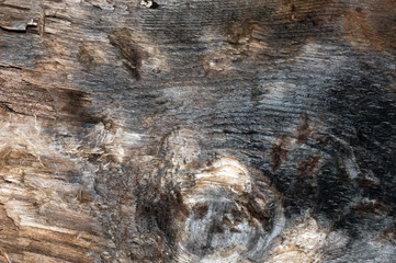Front view of old grey wood background or texture. Copy space. Place for text. graphical resource