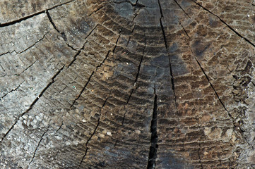  Front view of dark grey  old timber texture or background. Copy space. Place for text. graphical resource