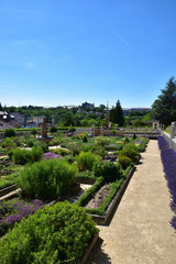 Fototapeta premium Leonberg, Baden-Württemberg, Deutschland : Aufnahme vom Pomeranzengarten in Leonberg.
