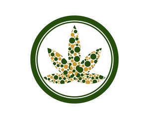 Obraz premium cannabis research