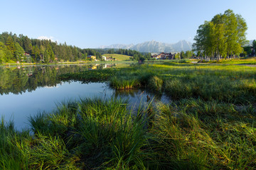 Fototapeta na wymiar Green grass and trees on a coast of Alpine lake Seefeld, Austria
