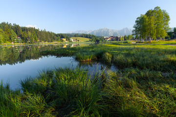 Green grass and trees on a coast of Alpine lake Seefeld, Austria