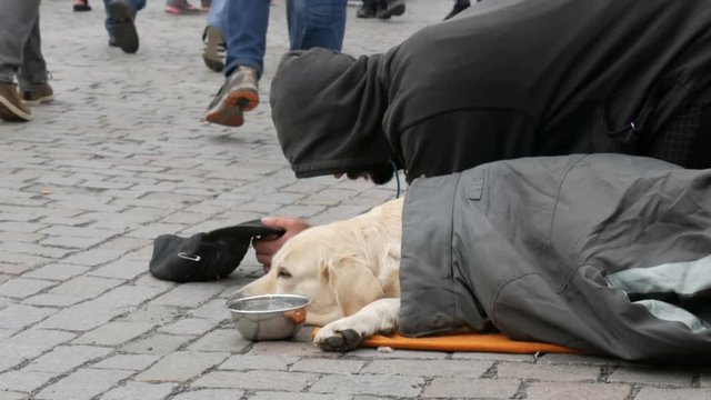 Poor man kneels and begs alms with his outstretched hand next to the lying dog. A beggar is waiting for a coin