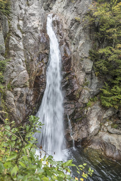 Glen Ellis Falls In Jackson At Elvis River