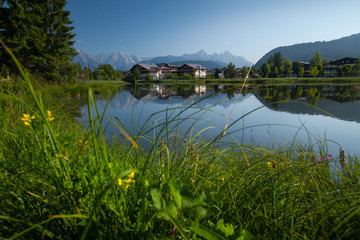 Green grass and trees on a coast of Alpine lake Seefeld, Austria