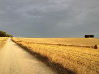 Fototapeta premium Campo