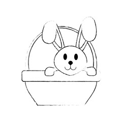 Bunny on basket icon vector illustration graphic design