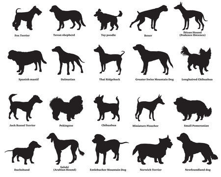 Set of dogs silhouettes-4