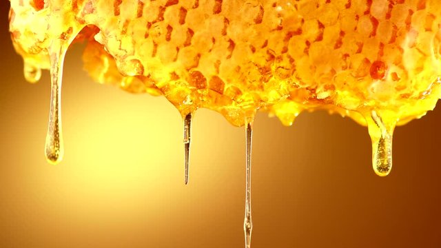 Honey. Healthy organic thick honey dripping from honeycombs over yellow background. 4K UHD video footage. Ultra high definition 3840X2160