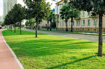 View of the beautiful green city street with lawn, palm trees, trees, bicycle road.