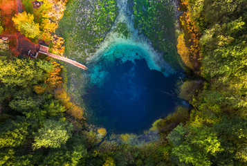 Aerial view of the karst lake named Goluboye Ozero (Blue Lake) surrounded by forest. Maximum depth...