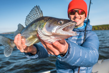 Happy angler holds fish Zander (Sander lucioperca) sitting in a boat with river on the background
