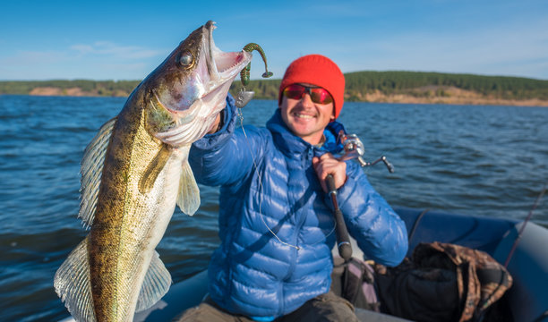 Happy Angler Holds Fish Zander (Sander Lucioperca) With River On The Backgound