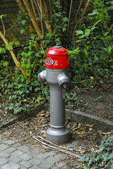 Swiss fire hydrant.333