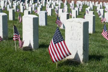 Military Graveyard with flags