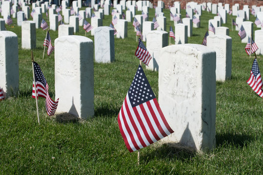 Military Graveyard with flags
