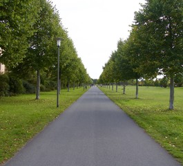 Obraz premium road to heaven