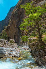 Samaria Gorge. Crete, Greece