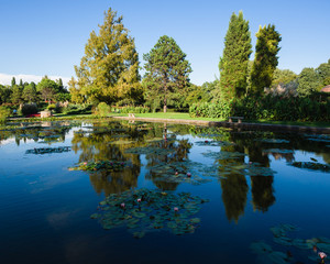 Fototapeta na wymiar Large pond with water lilies in an italian public park.
