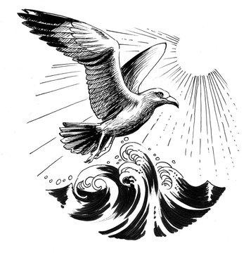 Ink illustration of a flying seagull