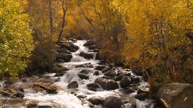 paysage d'une rivi&egrave;re en automne 