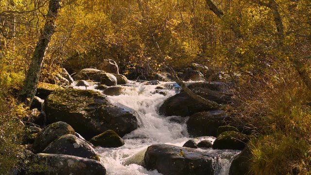 paysage d'une rivi&egrave;re en automne 