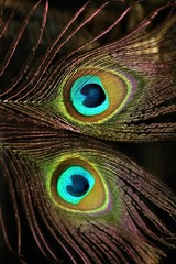 Obraz premium Symmetry