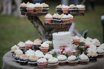 Rustic Themed Wedding Cake and Cupcakes on a Wooden Cake Stand