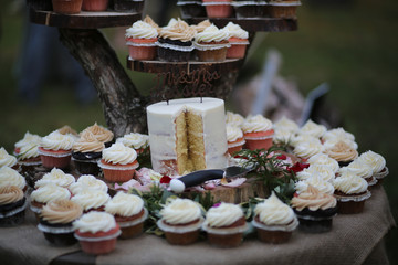 Rustic Themed Wedding Cake and Cupcakes on a Wooden Cake Stand