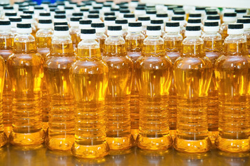 Vegetable oil production plant