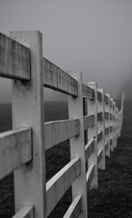 Obraz premium on the fence