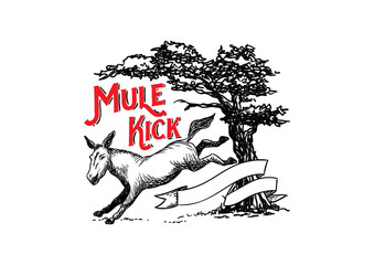 Mule Kick Illustration Design