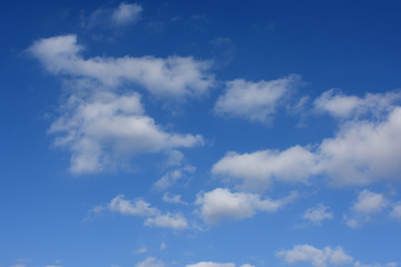 Naklejka na ściany i meble 青空と雲「空想・雲のモンスターたち」（漂う、緩やかなどのイメージ）