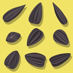 Vector set of sunflower seeds