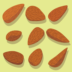 Vector set of almonds