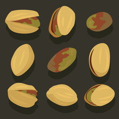 Vector set of pistachios