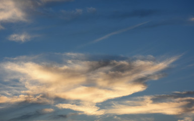  青空と雲「空想・雲のモンスターたち」（帰る準備、帰り始める、消え始めるなどのイメージ）