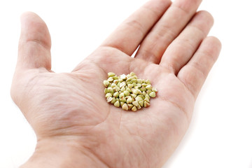 蕎麦の実　Buckwheat seeds