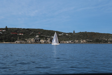 sail boat manly sydney harbour